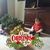 Martie Bowers's profile image