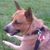 Dave Drewry's profile image
