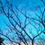 Bobbi Waldrop's profile image