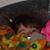 MaryKate Jacobson's profile image