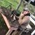 Paul Finetti's profile image