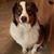 Lori Julia Krayer's profile image