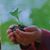 Amado Y Cruz Rojo's profile image