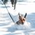 Tiffany Gagnon's profile image