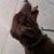 Tricia Stephenson McGrew's profile image