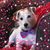 Lori J. Wilka's profile image