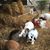 Rabbits Corner's profile image