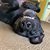 Kelly Rumley's profile image