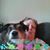 Cathi Marie Catalano-Ferkel's profile image