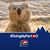 Jody Waken Lee's profile image