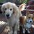 Molly Berigan Spira's profile image