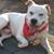 Krissy Beyer's profile image