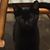 Maureen Dougherty's profile image
