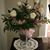 Debbie Schlichting's profile image