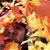 Steffen Edwards's profile image