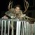 Phillip Wilkerson's profile image