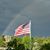 Carole Lynn Evans's profile image