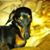 Ashish Anand's profile image