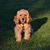 Heather Grimminger's profile image