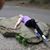 Chris Gunderson's profile image