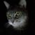 Lisa Nd Trav Arndt's profile image