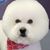 Tamara L Vinson's profile image