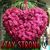Linda Christian's profile image