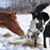 Linda Durick Franklin's profile image