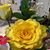 Juanita Bueno's profile image