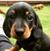 Cristo Tadeo's profile image