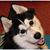 Elizabeth Ehlin's profile image