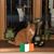 Megan Decker Gnall's profile image