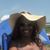 Darlene Ashleigh Jeter's profile image