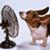 June Argeanas's profile image