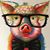 Aquiles Garcia's profile image