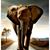 Jana Parrish's profile image