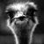 Emily Camille's profile image