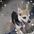 Kathie Norton's profile image
