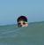 Michelle Bird's profile image