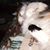 Roza Eisenman's profile image