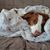 Sherry LeMay's profile image