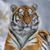 Scott Price's profile image