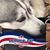 Marcia White's profile image