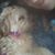 Kelli Scott's profile image