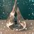 Shanna Harrison's profile image