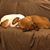 Deb LeMay's profile image