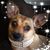 Anna Denise Rene Wiechec's profile image