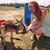 Emily Allen's profile image
