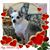 Betty Owsley Huffman's profile image