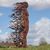 Jennifer Wilson Woessner's profile image